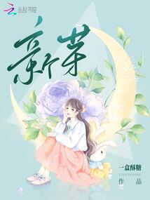 踏雪来，寻梅去