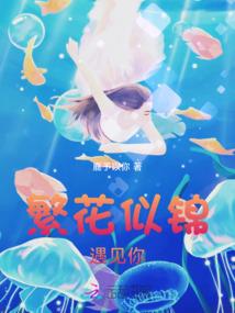 尼莫探长