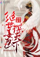 查理九世之盛夏中的烟火