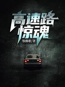重生奶爸导盲犬