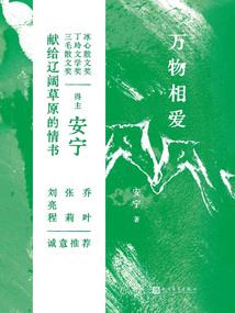 星际护道者