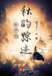 暗影夜猫