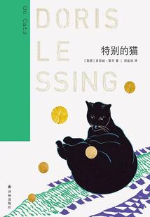 惹上首席总裁娇妻玲珑