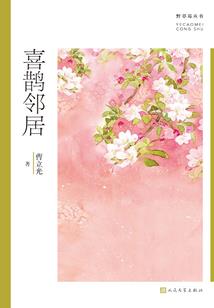 影子契约冒险史