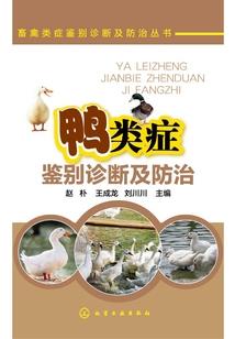 幸运之巅