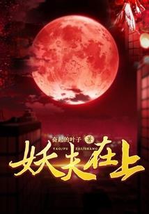 怪盗王妃