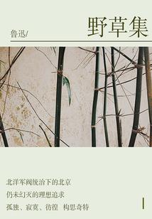 我真不是NPC