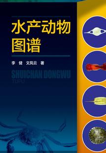 侠世
