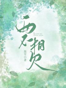 暗杀者的游戏