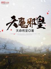 光与暗的双子之星