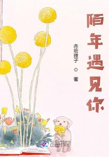 从Dragon开始的无限旅途