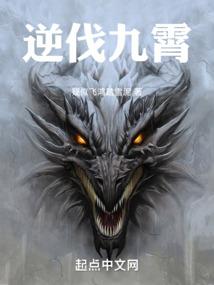 小叶的地底世界
