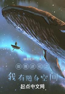 大宋奇皇
