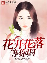 逆天小姐：狡猾傀儡太嚣张