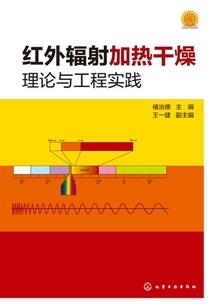 乱世皇妃