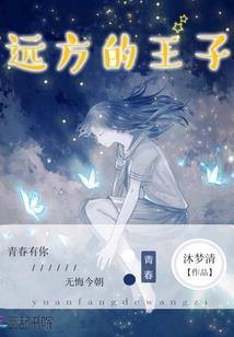 某型月的魔法少女