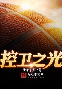 倾之遗歌