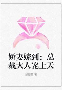 海贼王之燃烧意志