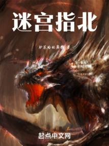 黑玫瑰姐妹花纵横异世大陆