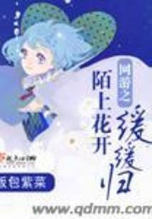 权少追妻，盛婚秘爱(合作)