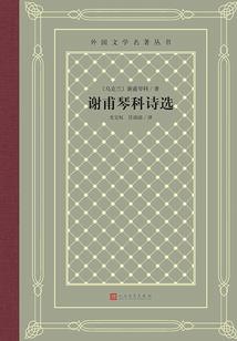 元素大陆之神翼星座