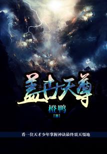穿越之姐妹无双