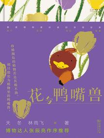 王朝：恶魔猎人