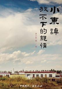 江山如此多娇