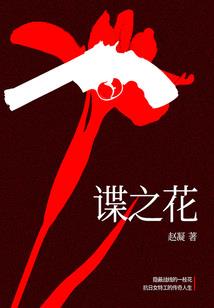 龙海升腾