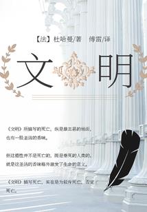 王的佣兵王妃