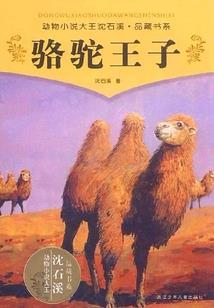 无限次元旅者