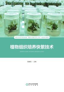 空降巡捕房的狐狸