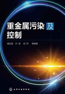 霸道总裁恋上温柔娇妻