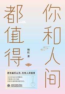 如此盗贼
