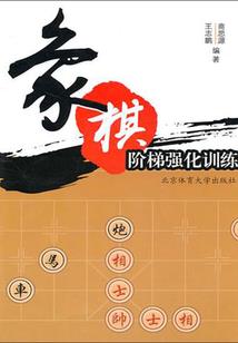 丞相当皇帝吗
