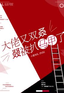 仙度世界