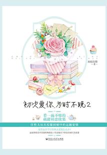 系统霸天极