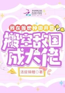 无敌系统传