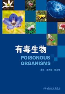 北梦木兮之一见倾心