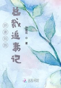 神皇争夺战