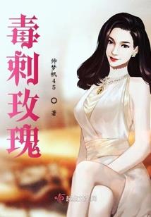 宠物小精灵之太阳骑士