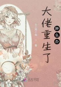 大冒险家的冒险有问题