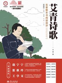 精灵宝可梦我们的旅途