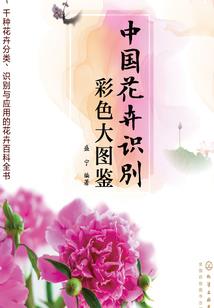 深露彼岸