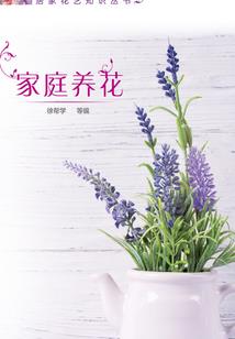 被神召唤至异世界的刺客