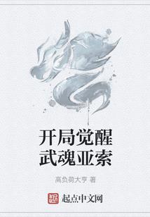 四合院之奋斗的年代