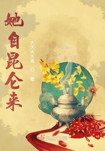 凤涟天下