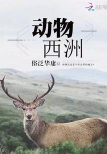 剑圣霸天
