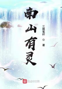 我的孤独是你