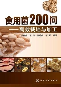 年少的TA